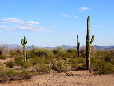Sonoran Desert NM in AZ