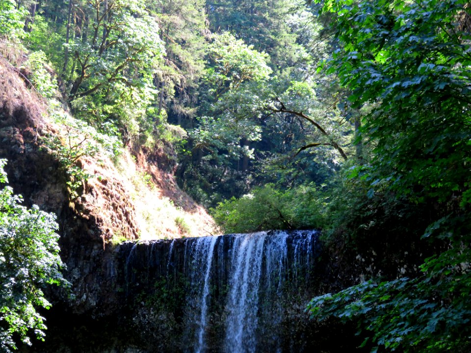 Silver Falls SP in OR