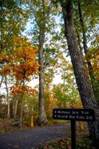 Mathews Arm Trail photo