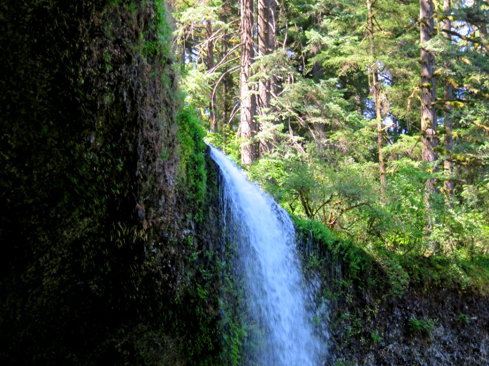 Silver Falls SP in OR
