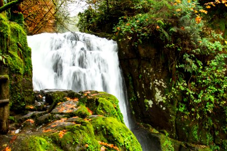 Upper Sweet Creek Waterfalls, Oregon photo