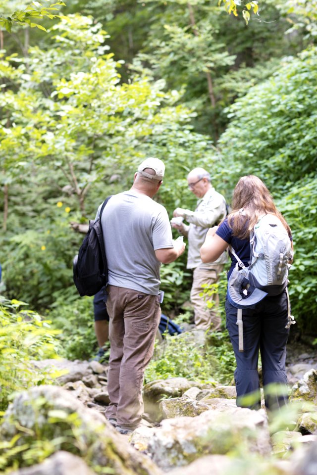 Water Quality Testing Activity