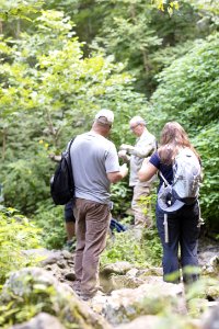 Water Quality Testing Activity