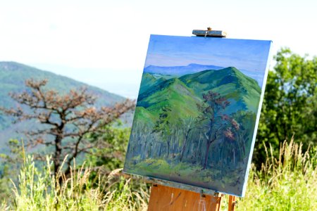 Artist-in-Residence - Summer 2017