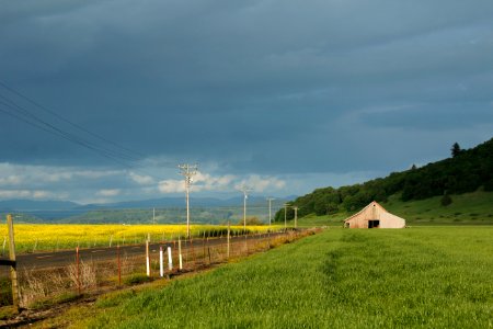 Fields around  Lebanon  Oregon