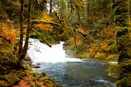 Beaver Creek Falls Waterfalls, Oregon photo