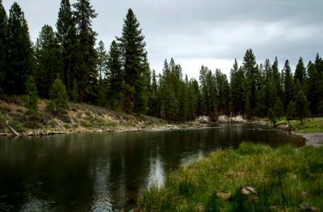La Pine State Park, Oregon photo
