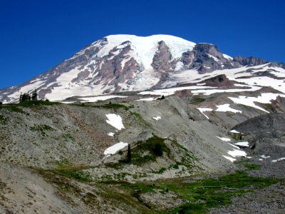 Paradise Skyline Trail at Mt. Rainier NP in WA photo