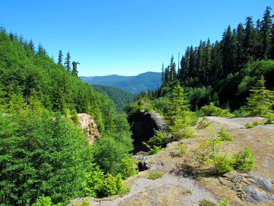 Lava Canyon Trail in Washington