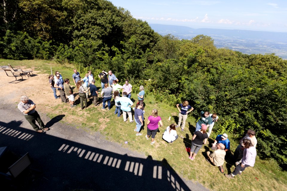 Practice Transect