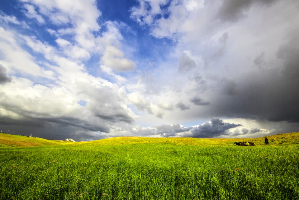 Landscape nature spring