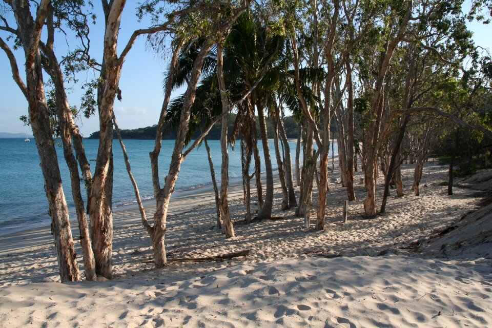 Paradise landscape seascape