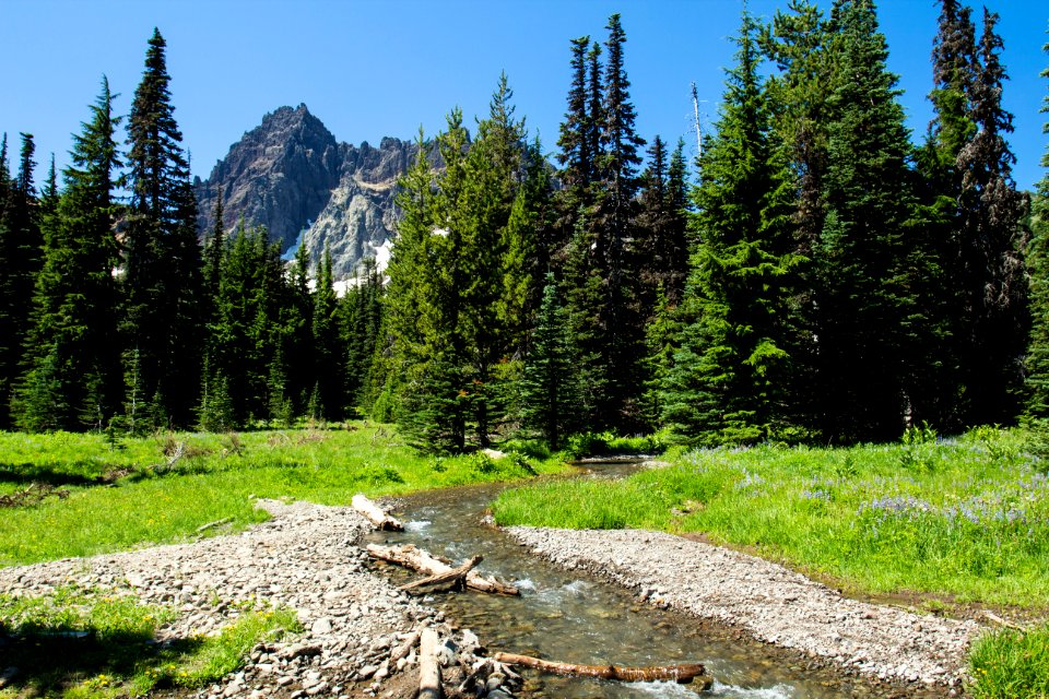 Canyon Creek, in the lower Canyon Creek Meadow, Oregon