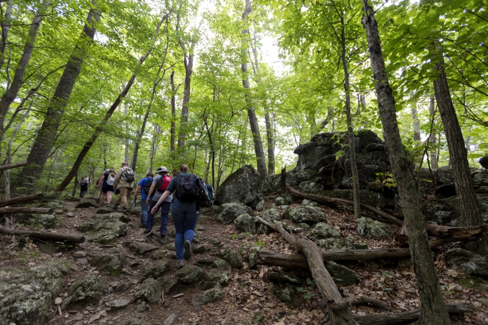 Hiking Lewis Falls