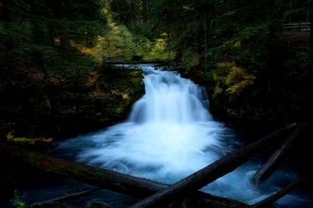 Whitehorse Falls, Oregon