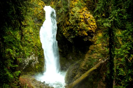 Pinard Falls waterfall, Oregon photo