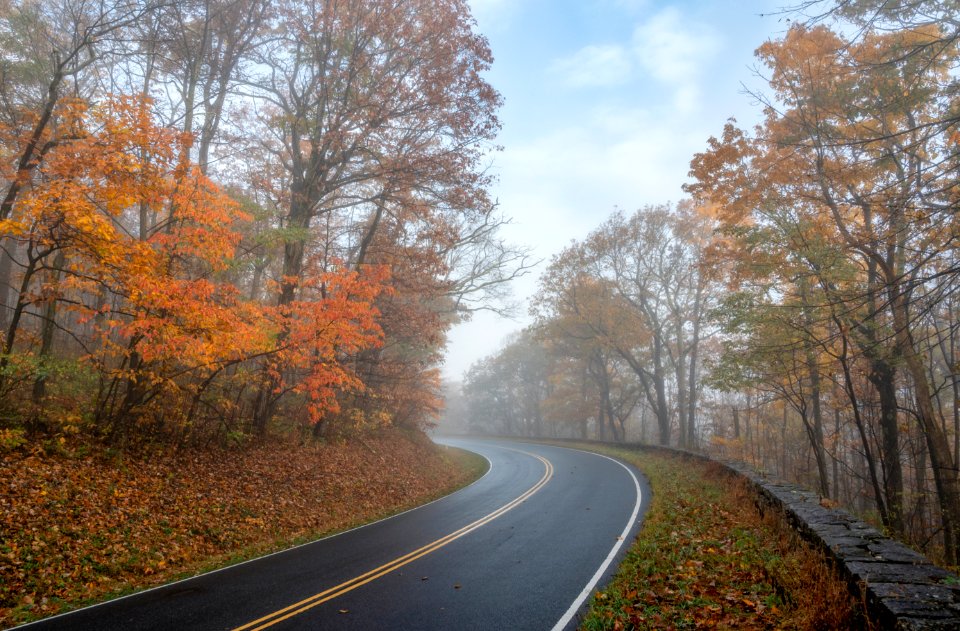 Fall Color in the North District