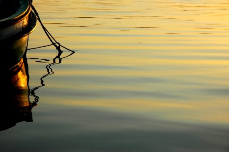 Dusk; fishing; oars; river Tagus photo