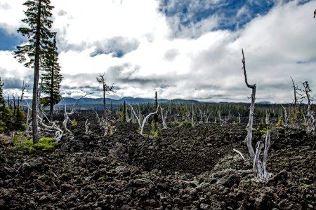 Mc Kenzie Pass Lava Fields, Oregon