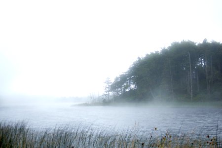 Fog on lake, Oregon photo