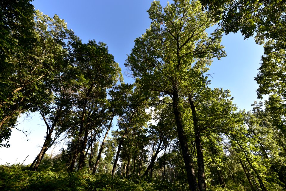 Sherburne National Wildlife Refuge