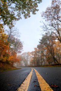 Scenic Skyline Drive in the Fall