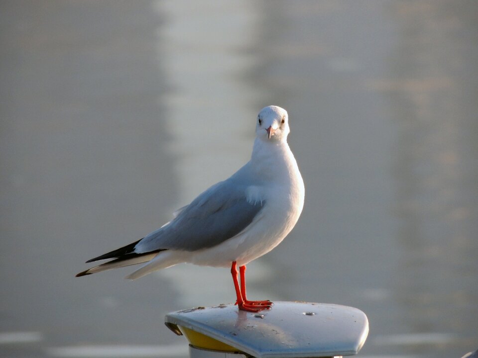 Unity wildlife water