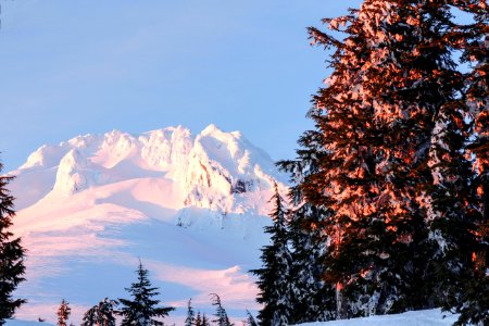 Winter snow Mt Hood, Oregon photo