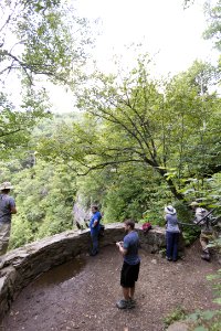 Lewis Falls Viewing Platform