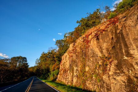 Golden Light at Thornton Hollow