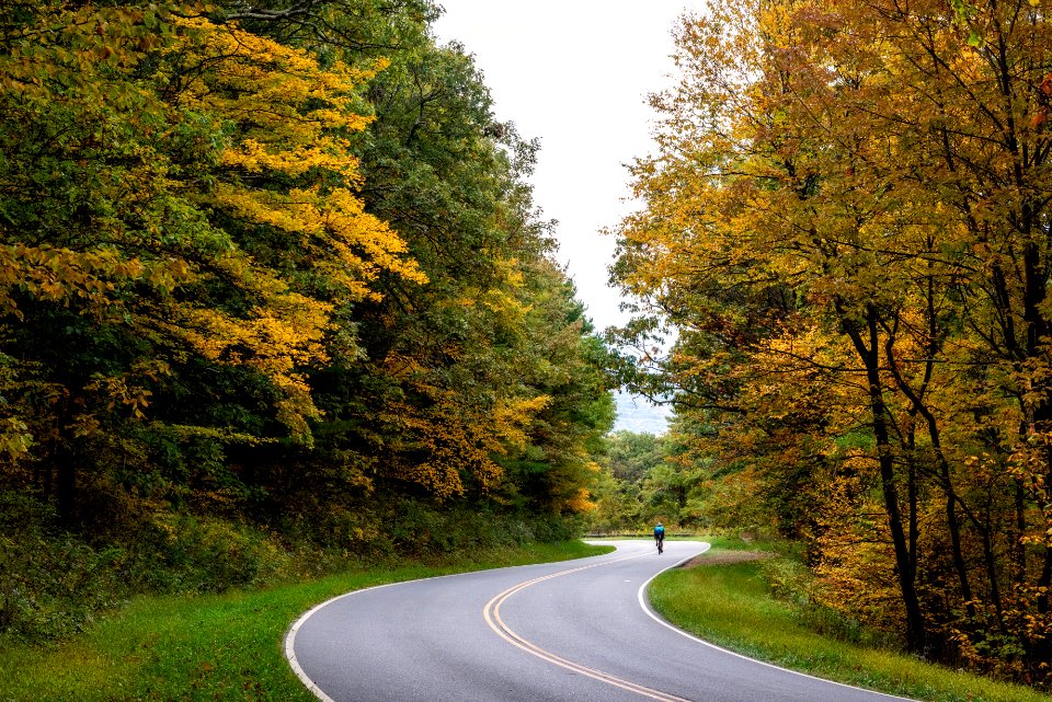 Fall Colors Along the Drive