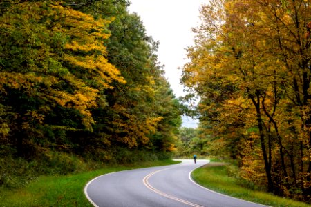 Fall Colors Along the Drive photo