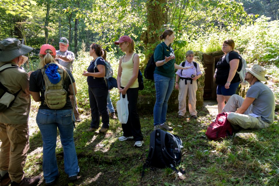 Water Quality Testing Activity