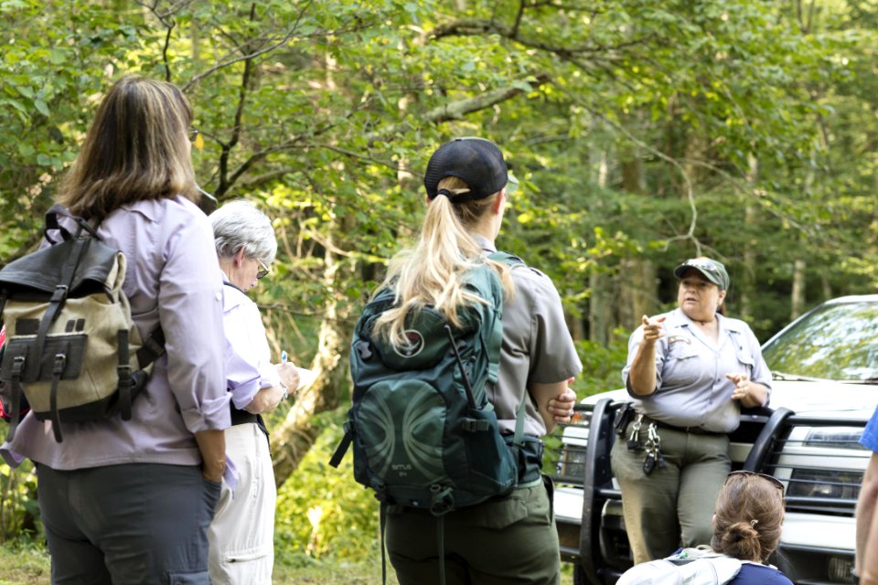 Water Quality in Shenandoah