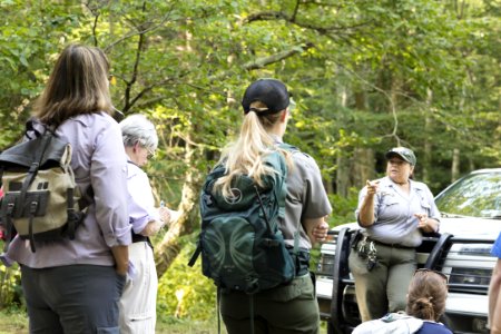 Water Quality in Shenandoah