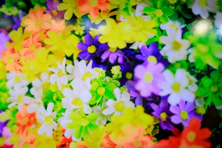 nEO IMG 蜷川-6