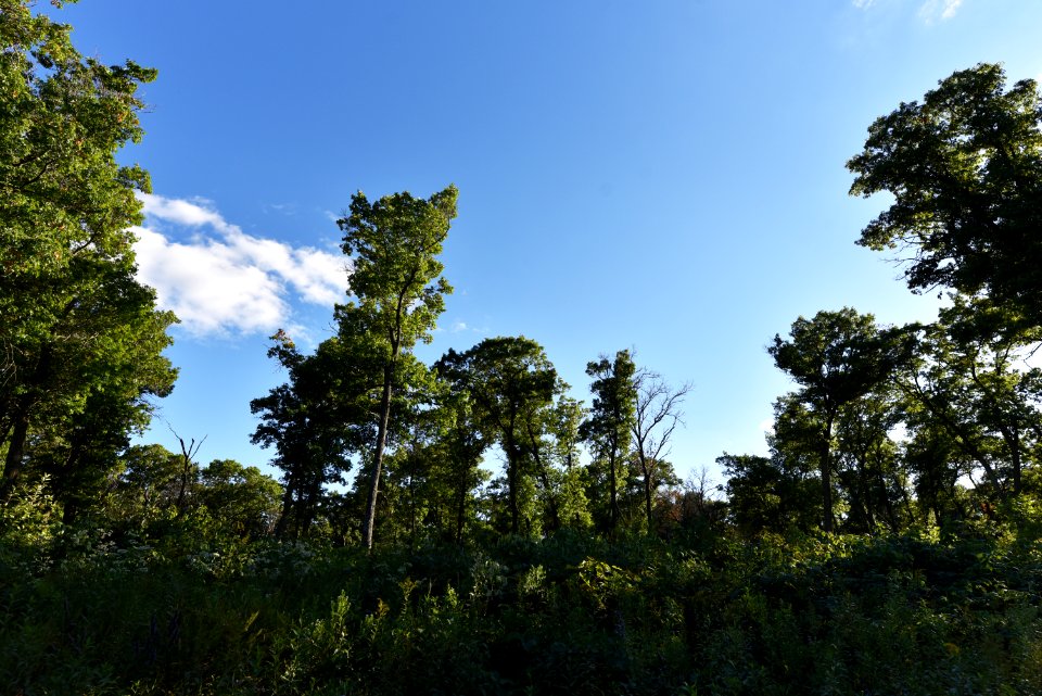 Sherburne National Wildlife Refuge