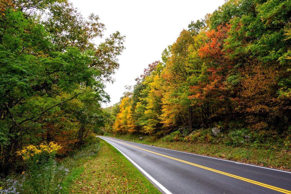 Mathews Arm Campground Road
