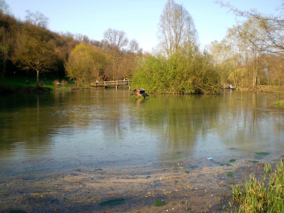 Lake in the Silent Garden, Taizé