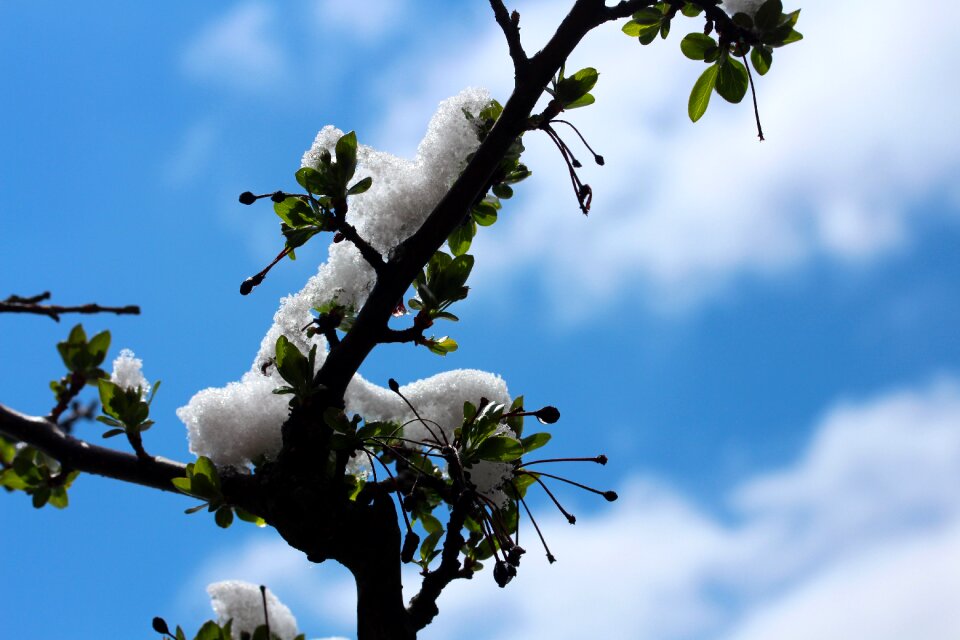 White cold sky