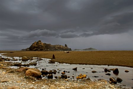 Fogarty Beach, Oregon photo