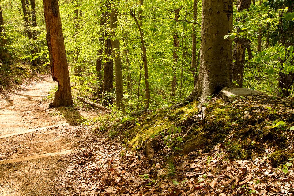 White Horse Trail