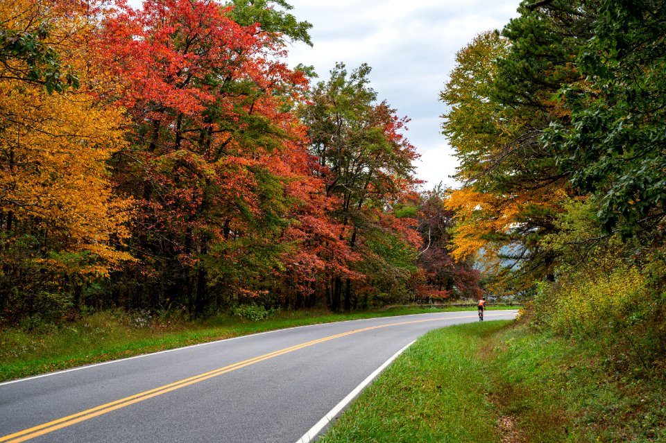 Colorful Curve