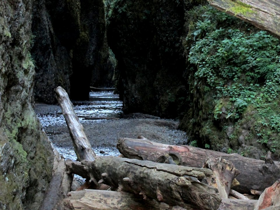 Oneonta Gorge at Columbia River Gorge in OR