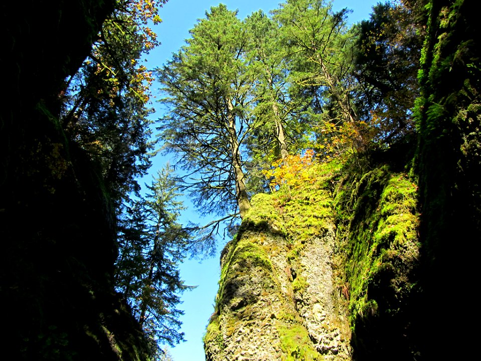 Oneonta Gorge at Columbia River Gorge in OR