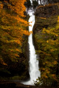 Horsetail Falls, Oregon, in autumn photo