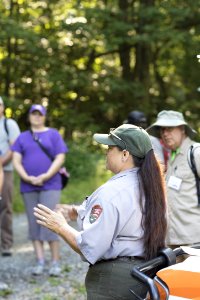 Water Quality in Shenandoah