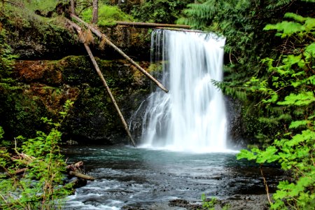 Upper North Falls, Waterfalls, Oregon photo