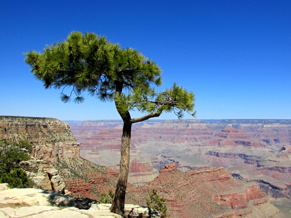 Grand Canyon NP in AZ
