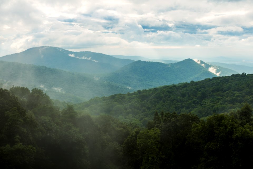 Fog in the Mountains